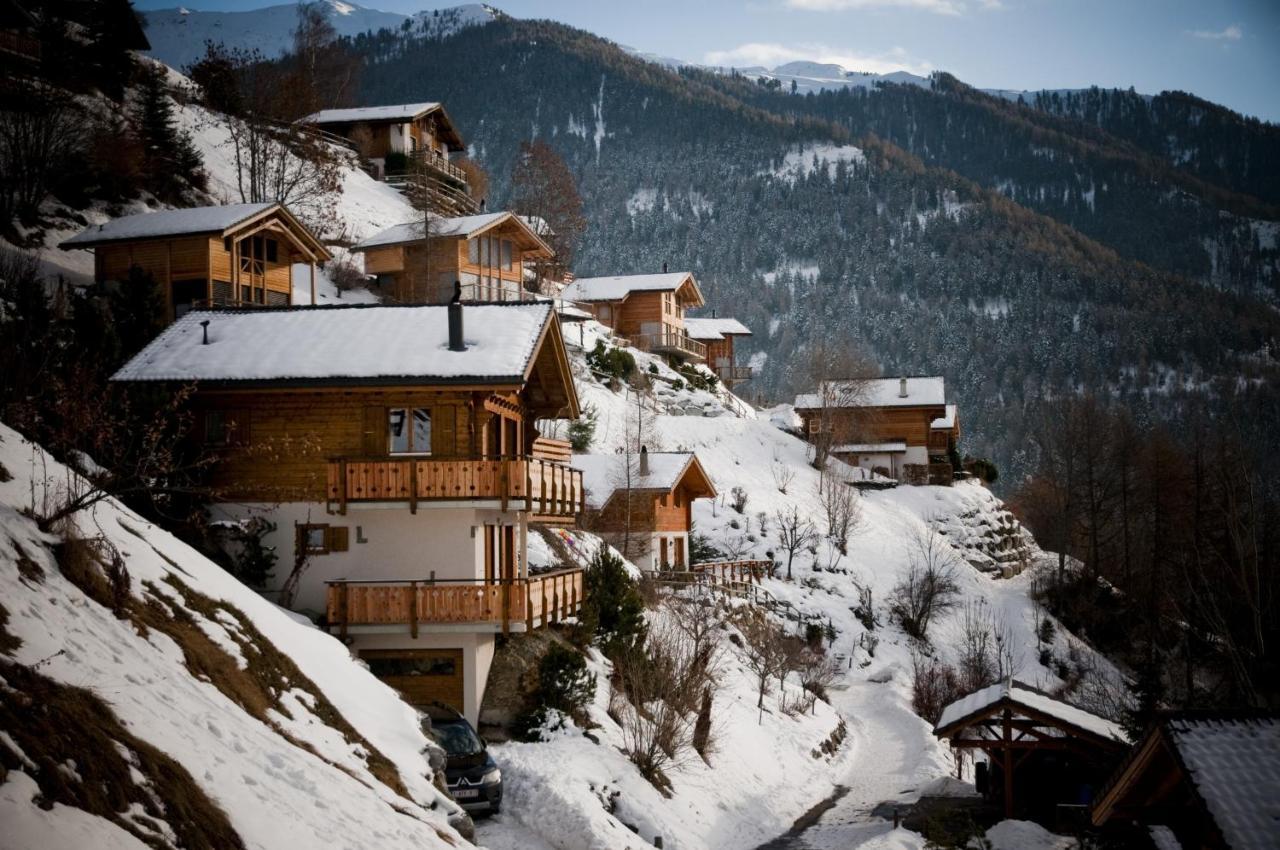 Greppons Cosy & Mountain Apartments By Alpvision Residences Veysonnaz Exterior photo